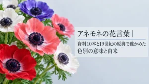 アネモネの花言葉｜資料10本と19世紀の原典で確かめた色別の意味と由来
