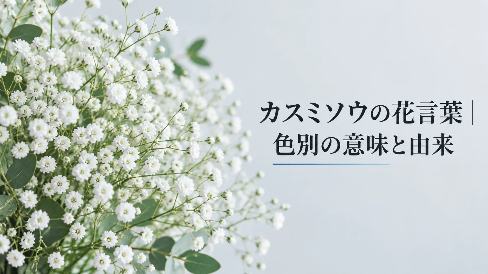 カスミソウの花言葉｜色別の意味と由来