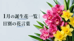01月の誕生花一覧｜日別の花言葉