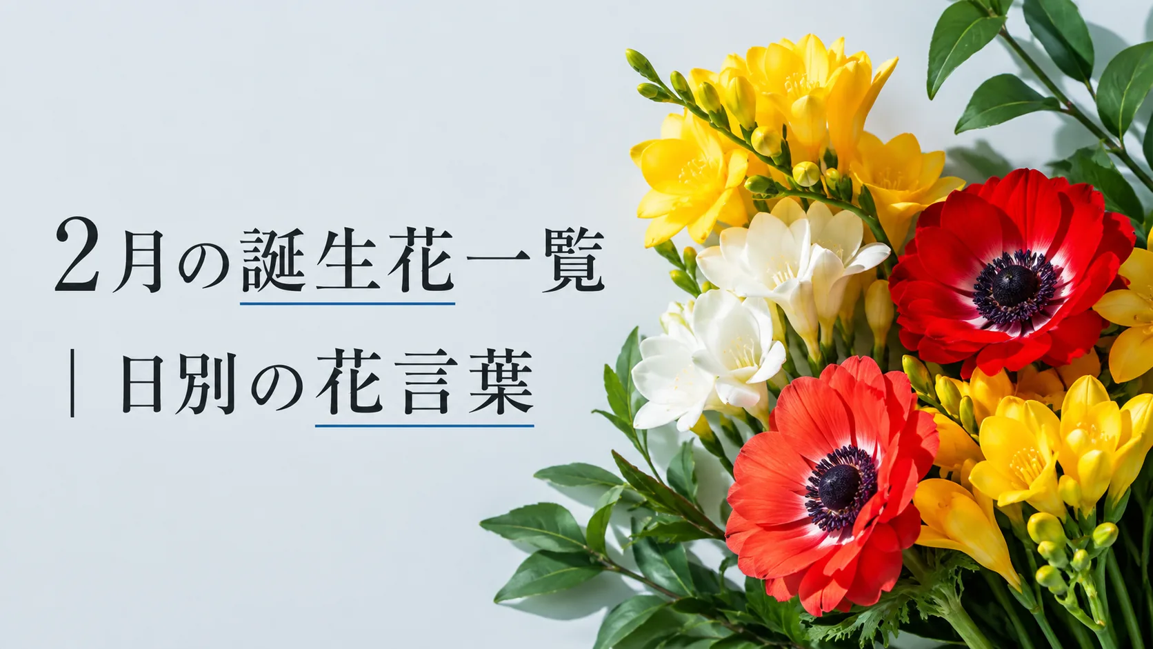 02月の誕生花一覧|日別の花言葉