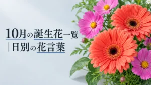 10月の誕生花一覧｜日別の花言葉