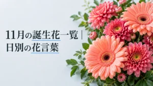 11月の誕生花一覧｜日別の花言葉