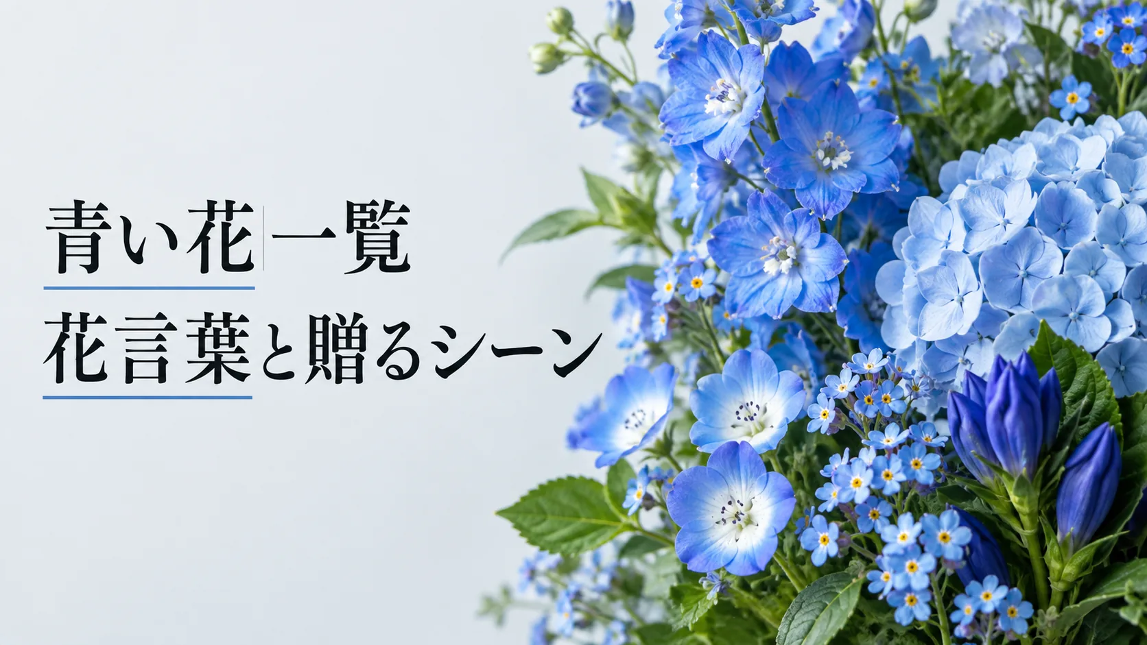 青い花一覧｜花言葉と贈るシーン