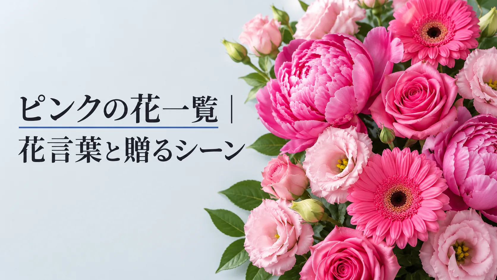 ピンクの花一覧｜花言葉と贈るシーン