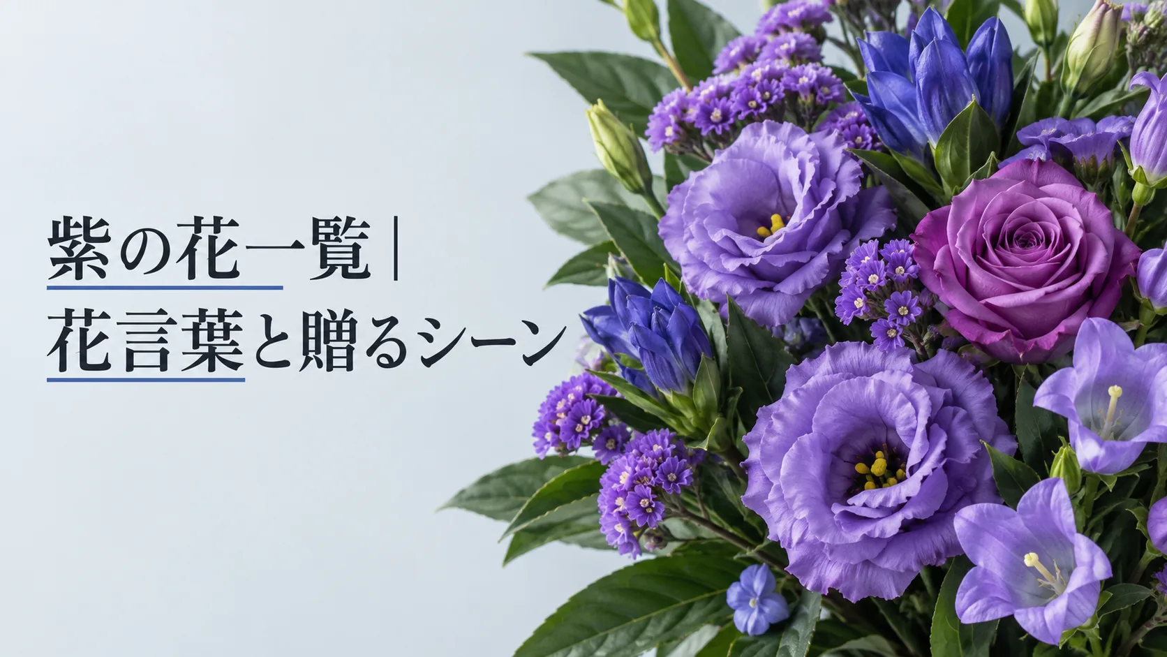 紫の花一覧｜花言葉と贈るシーン