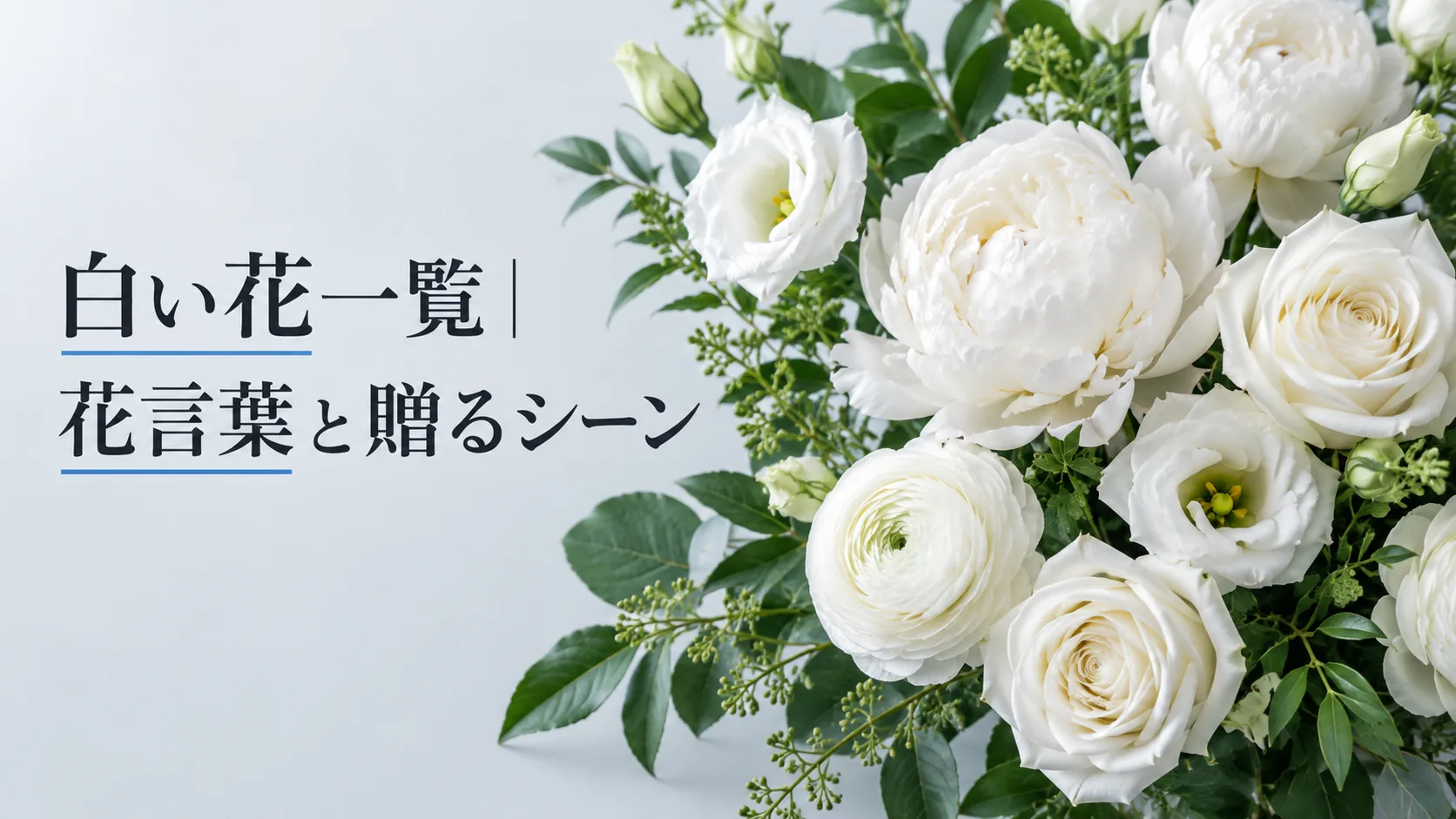白い花一覧｜花言葉と贈るシーン