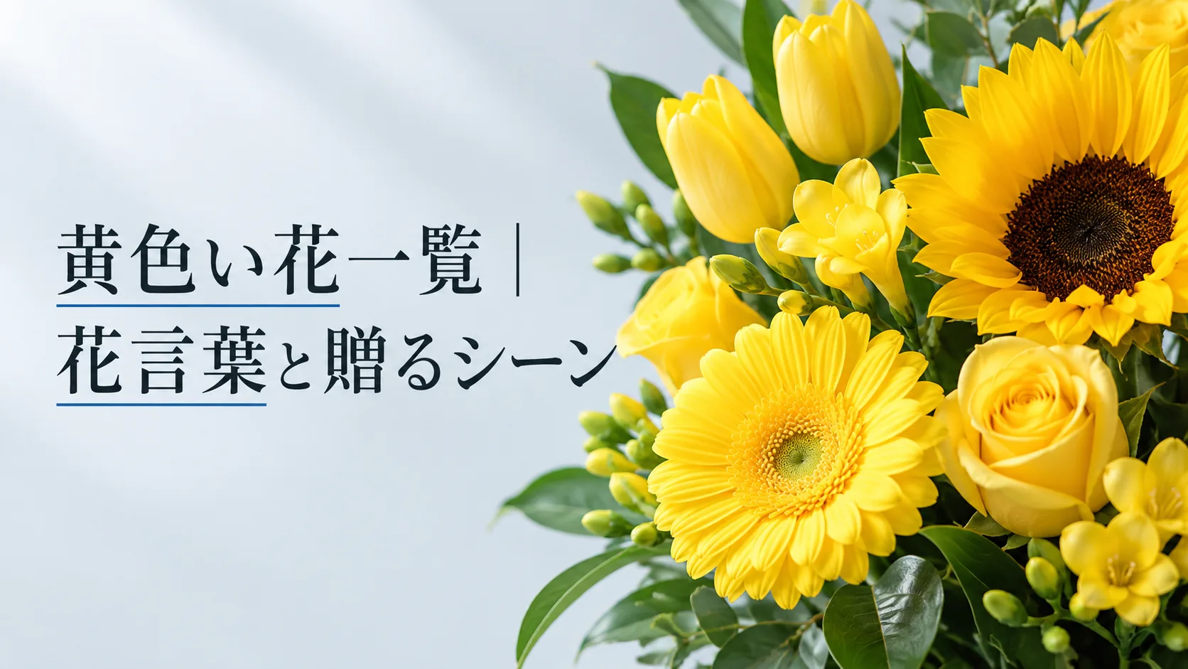 黄色い花一覧｜花言葉と贈るシーン