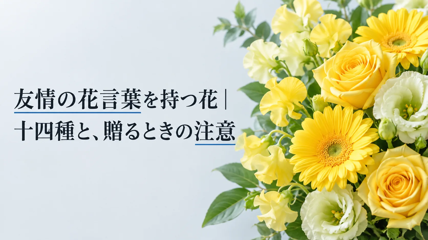 友情の花言葉を持つ花｜十四種と、贈るときの注意
