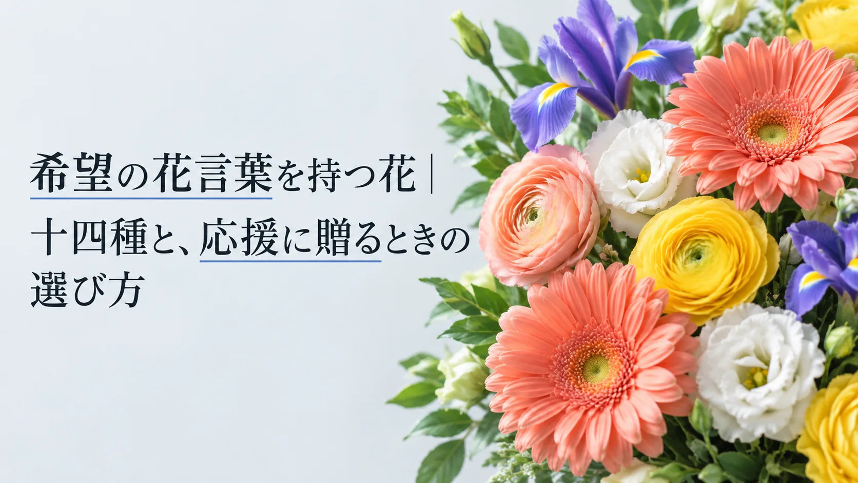 希望の花言葉を持つ花｜十四種と、応援に贈るときの選び方