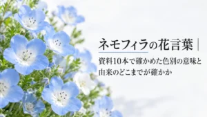 ネモフィラの花言葉｜資料10本で確かめた色別の意味と、由来のどこまでが確かか