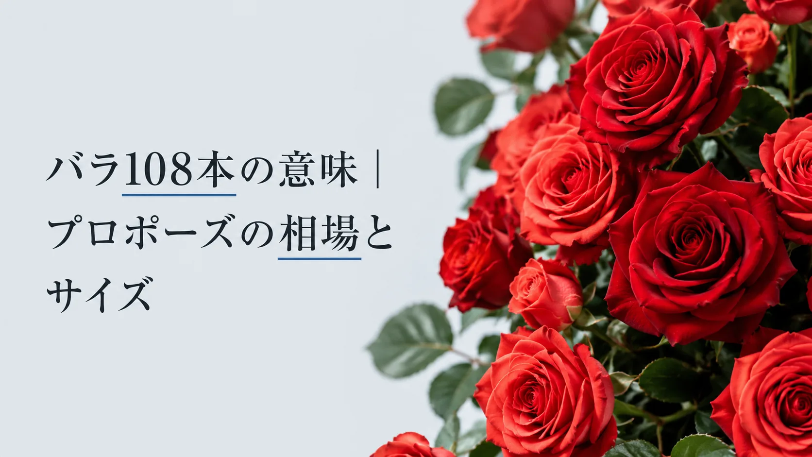 バラ108本の意味|プロポーズの相場とサイズ