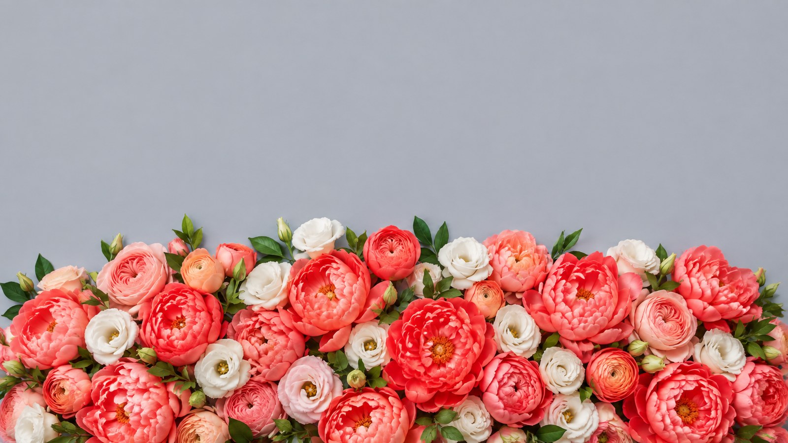 青みがかったグレーの背景に、珊瑚色とサーモンピンクの芍薬・バラ、白いトルコキキョウが横一列に咲きそろっているところ