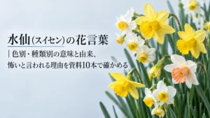 水仙（スイセン）の花言葉｜色別・種類別の意味と由来、怖いと言われる理由を資料10本で確かめる